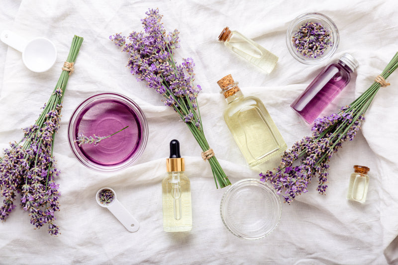 Lavanda - a queridinha da aromaterapia