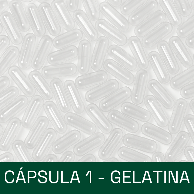 Cápsula de GELATINA - tamanho 1 (100, 300 ou 1000 cápsulas)