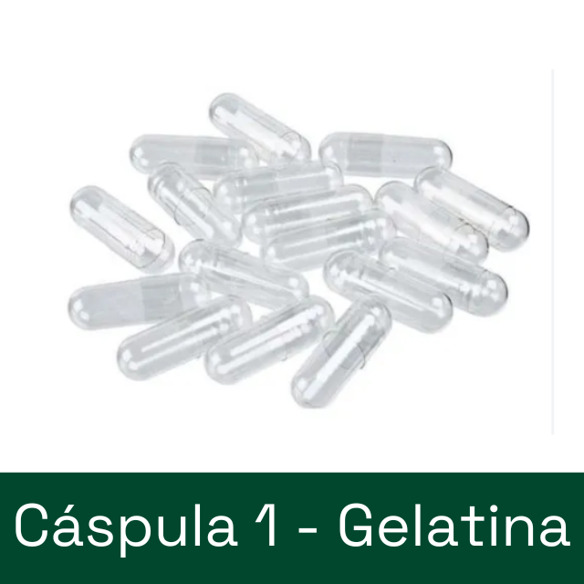 Cápsula de GELATINA - tamanho 1 (100, 300 ou 1000 cápsulas)