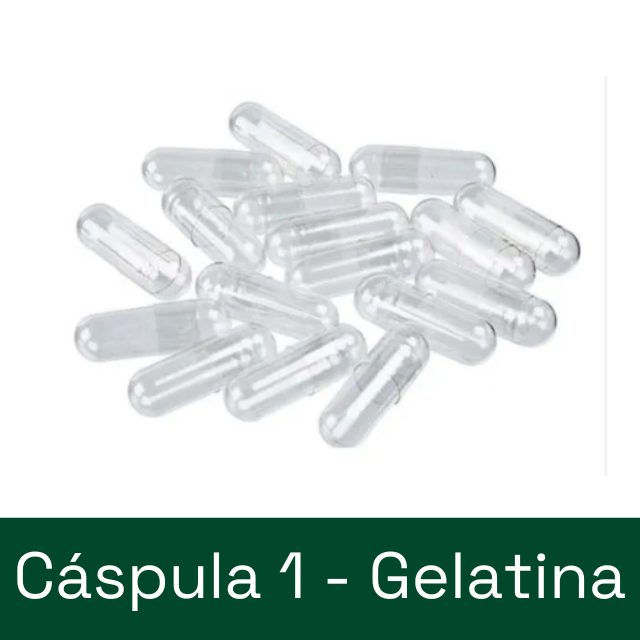 Cápsula de GELATINA - tamanho 1 (100 ou 300 cápsulas)