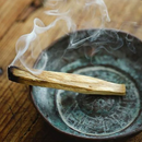Palo Santo em lasca (20 gramas)