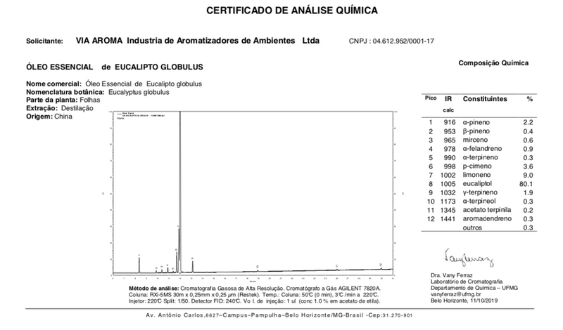 Óleo Essencial de Eucaliptus Globulus 10 ml - 100% puro