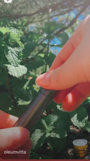 Inalador Nasal PREMIUM Aromaterapia